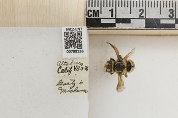Media type: image;   Entomology 789136 Aspect: Labels